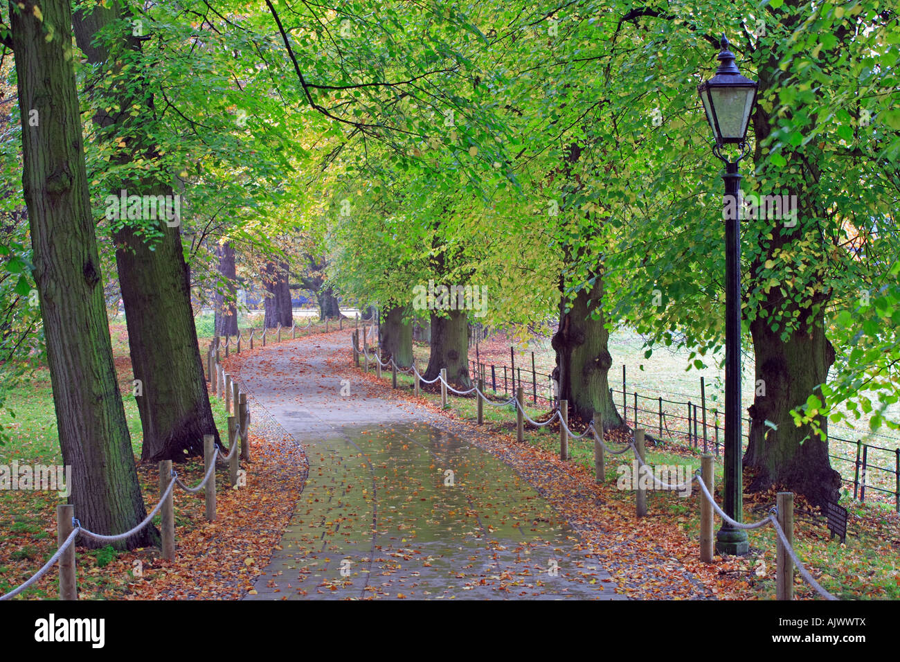 'Kings College Cambridge' pathway in Autumn. Kings College Stock Photo