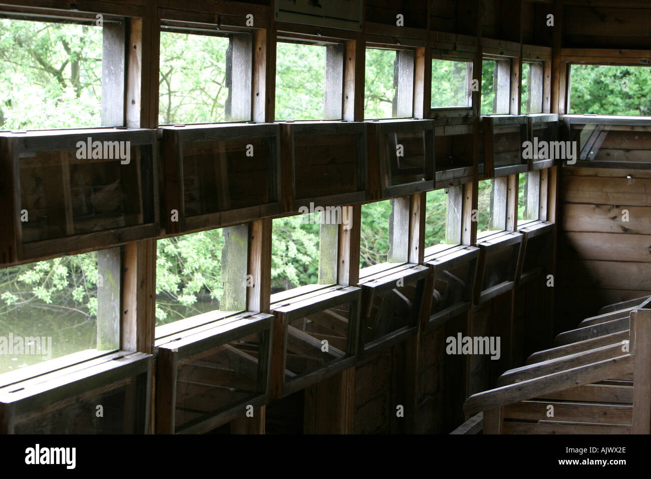 Double row of windows inside birdwatching hide Stock Photo Alamy