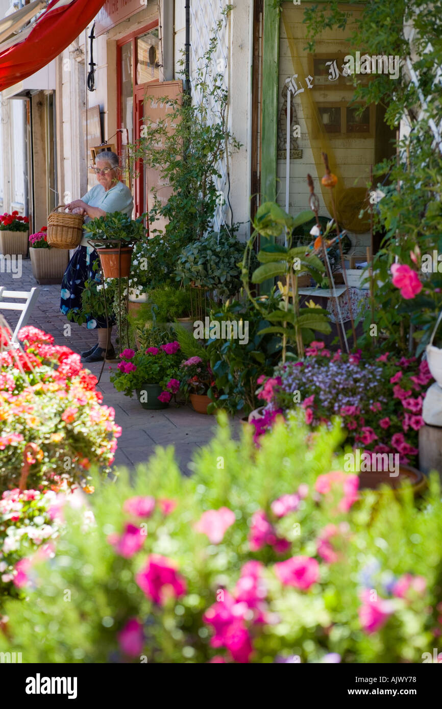 Flower shop Bonnieux Provence France Stock Photo