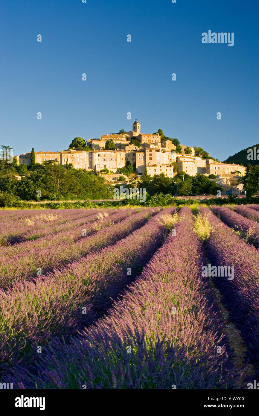 France Provence View over Lavander to Hilltop village of Banon Stock Photo