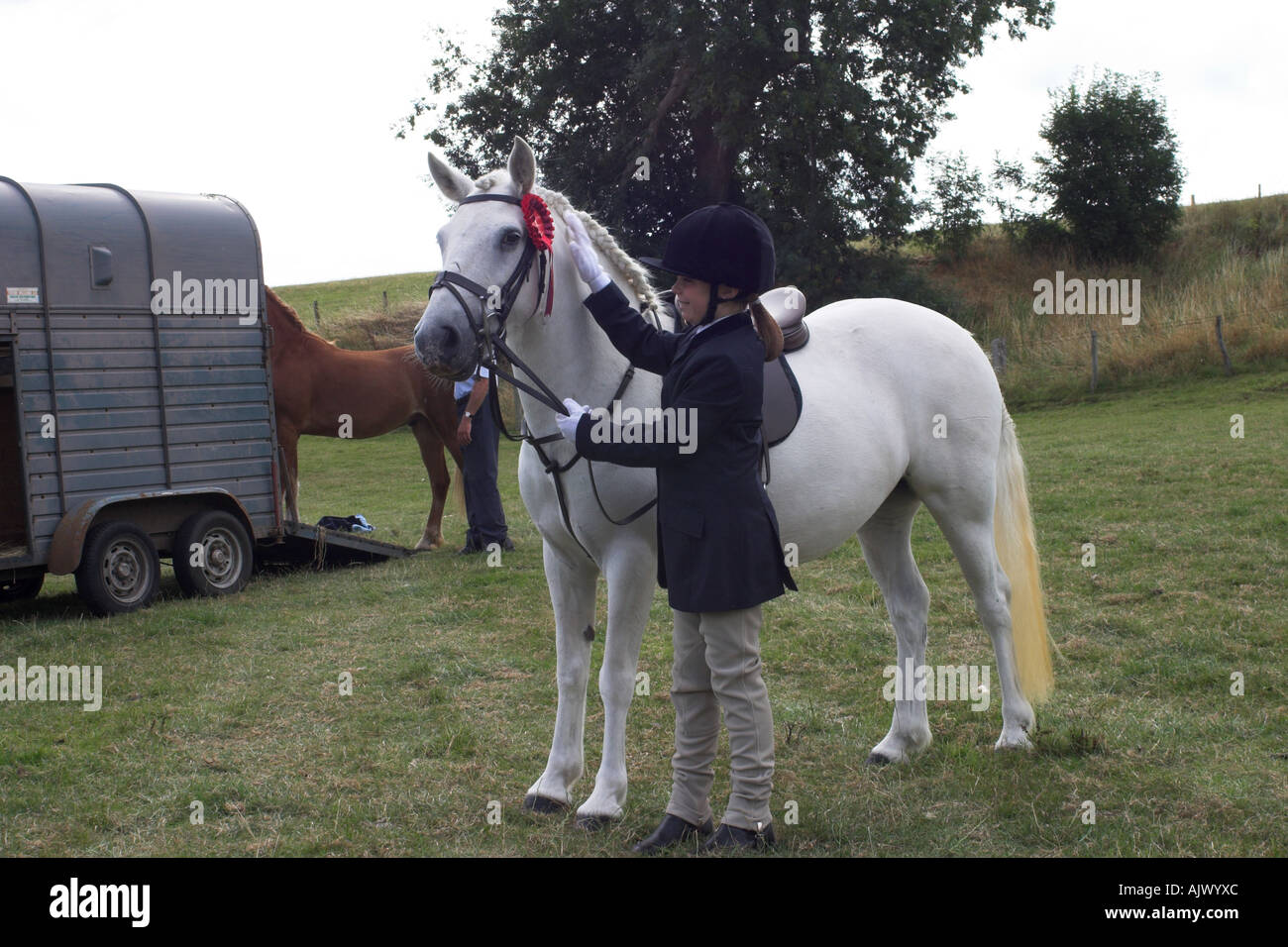 Eriskay Pony and Rider at a Show with a Red Rosette Stock Photo