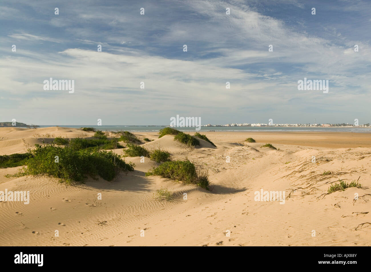 MOROCCO, Atlantic Coast, ESSAOUIRA: Town View from DIABAT Village Dunes Stock Photo
