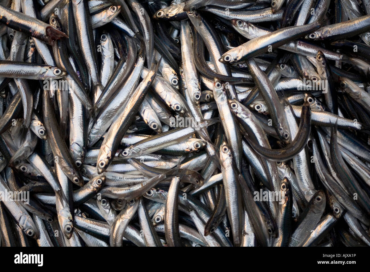 Food small fish hi-res stock photography and images - Alamy