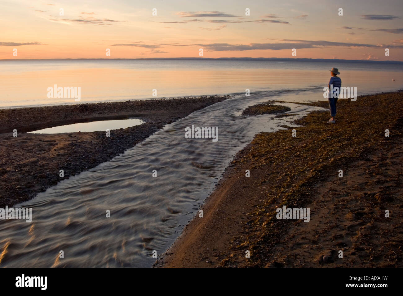 Tourist on pebble beach along shore of Bay of Chaleur, Pokeshaw NB