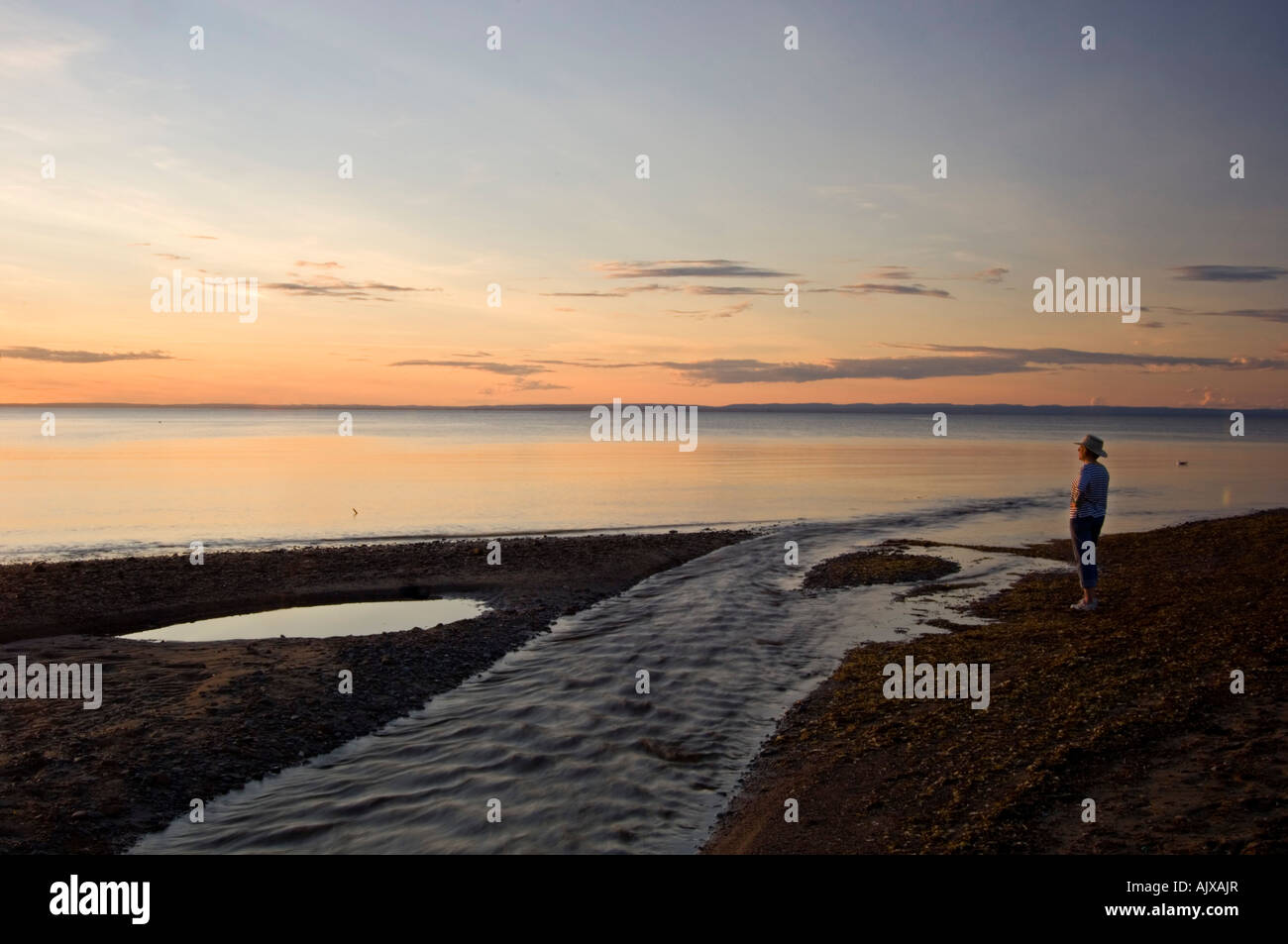 Pokeshaw hires stock photography and images Alamy