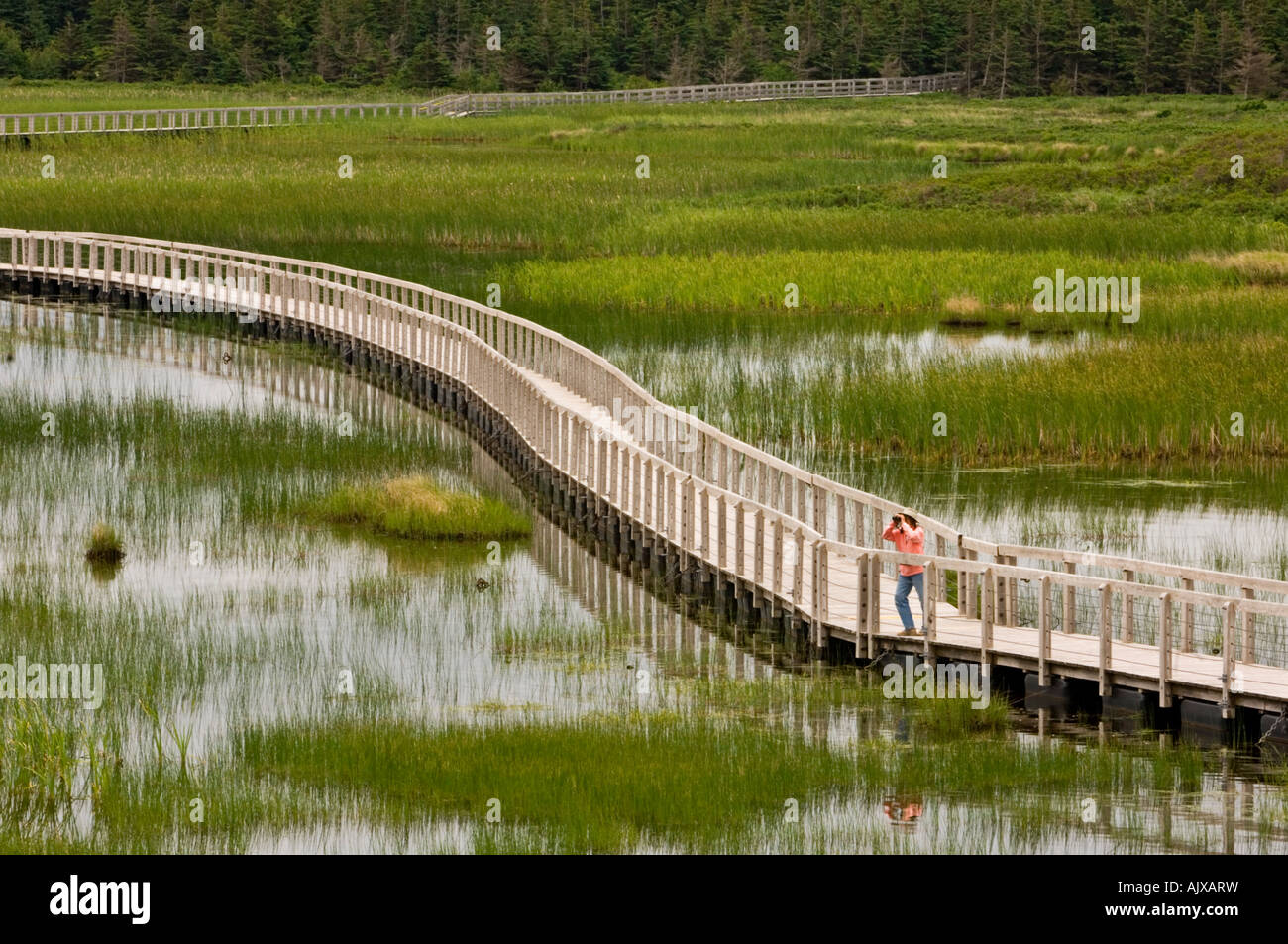 Boardwalk over Bowley Pond with visitor, Prince Edward Island National Park (Greenwich) Stock Photo