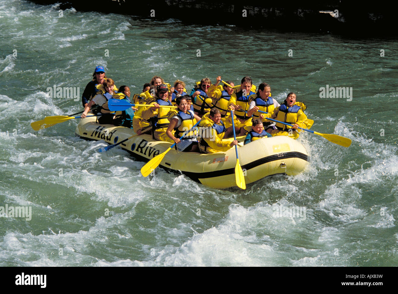 Elk266 1259 Wyoming Grand Teton NP Jackson Hole Snake River whitewater