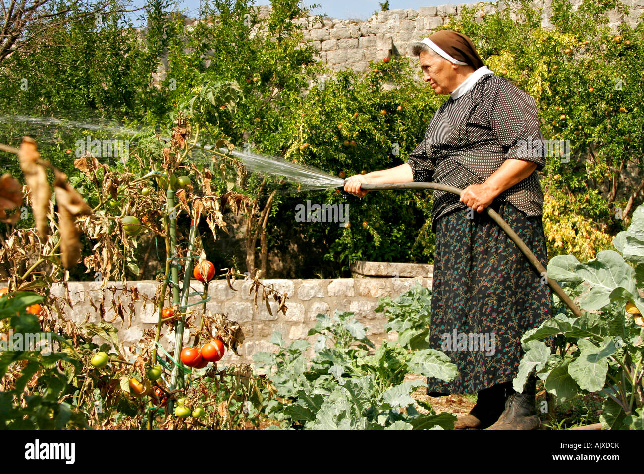 Schwester Metodia Garten Franziskanerkloster Ston Halbinsel Peljesac | Nun Metodia garden Franciscan Monastery Ston, Peljesac Stock Photo