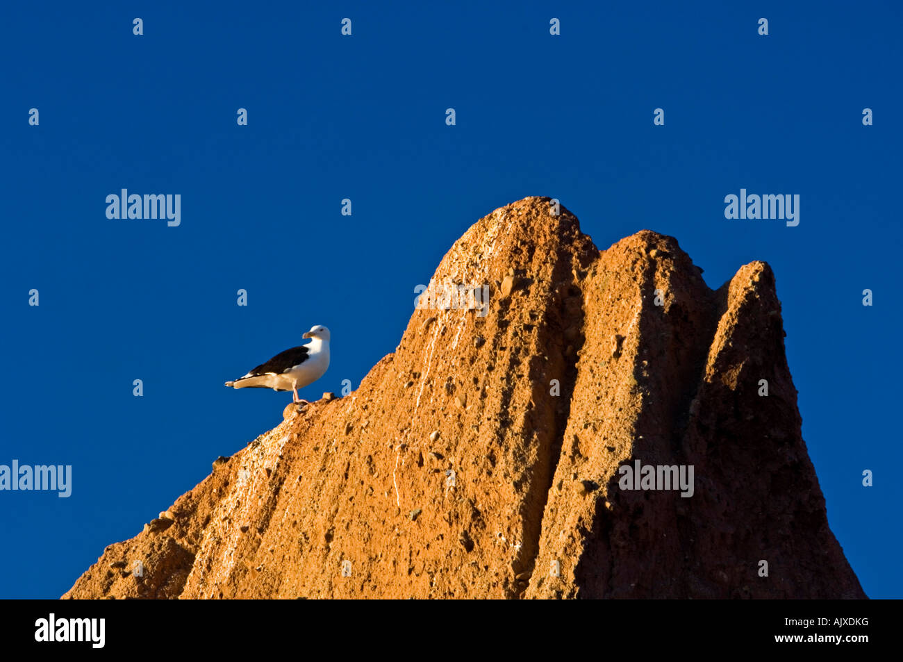 Pokeshaw municipal park hires stock photography and images Alamy