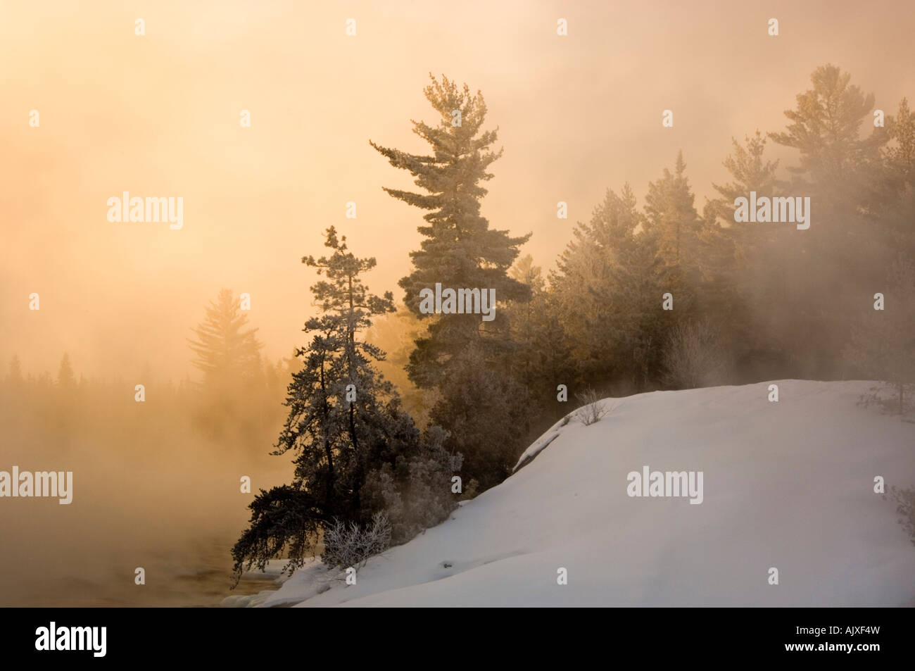 Tree silhouettes and rising mists near rapids of Wanapitei River at sunrise, Greater Sudbury, Ontario, Canada Stock Photo