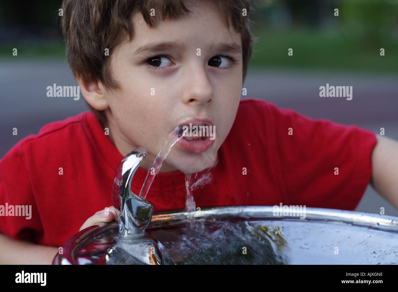 Boy is drinking water from the Drinking Water Fountain Stock Photo Alamy