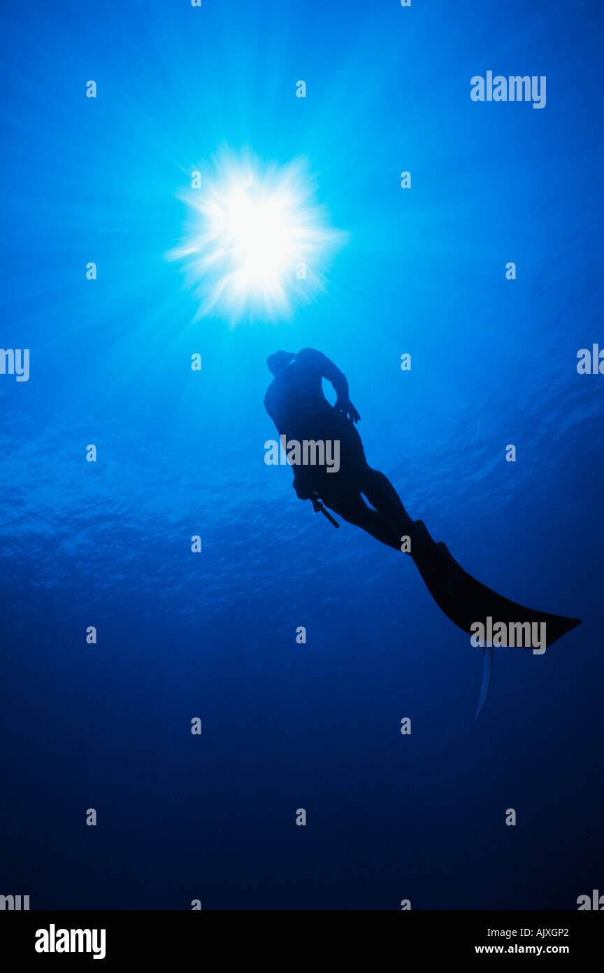 Polynesian skin diver surfaces from a breath hold dive Rangiroa Atoll