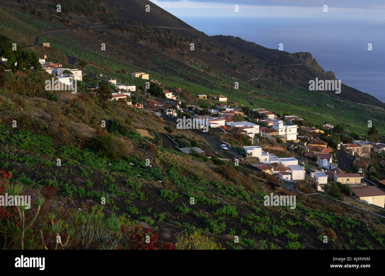 View at the village Los Quemados Las Indias La Palma Canary Islands Spain Stock Photo