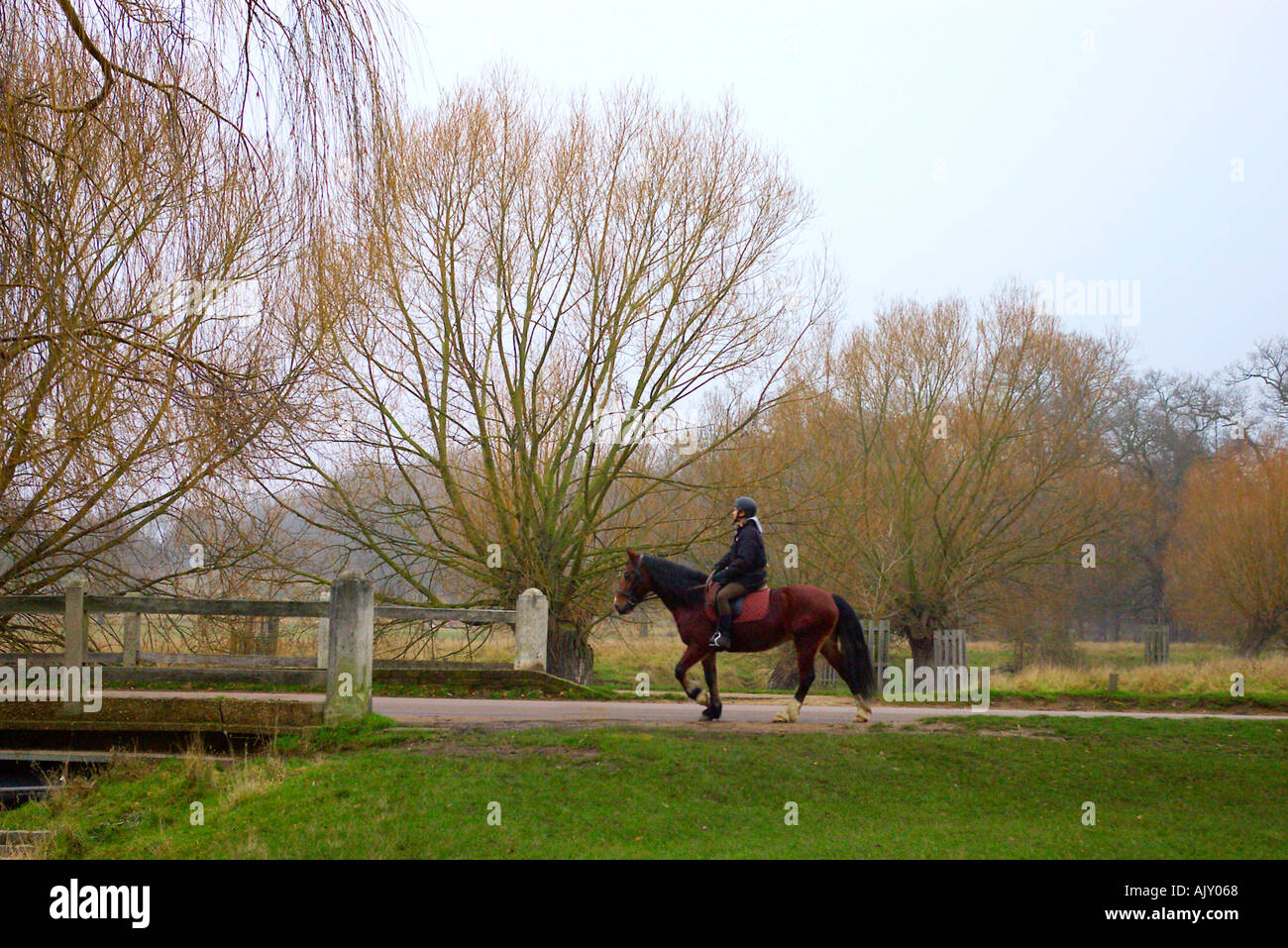 Horse Riding In London Stock Photos & Horse Riding In London Stock