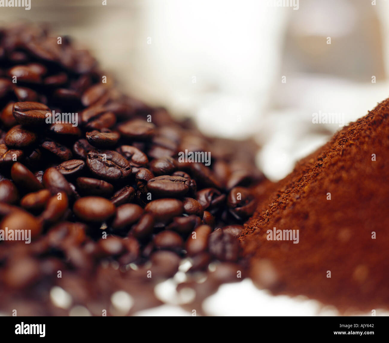 Coffee beans ground and Stock Photo Alamy