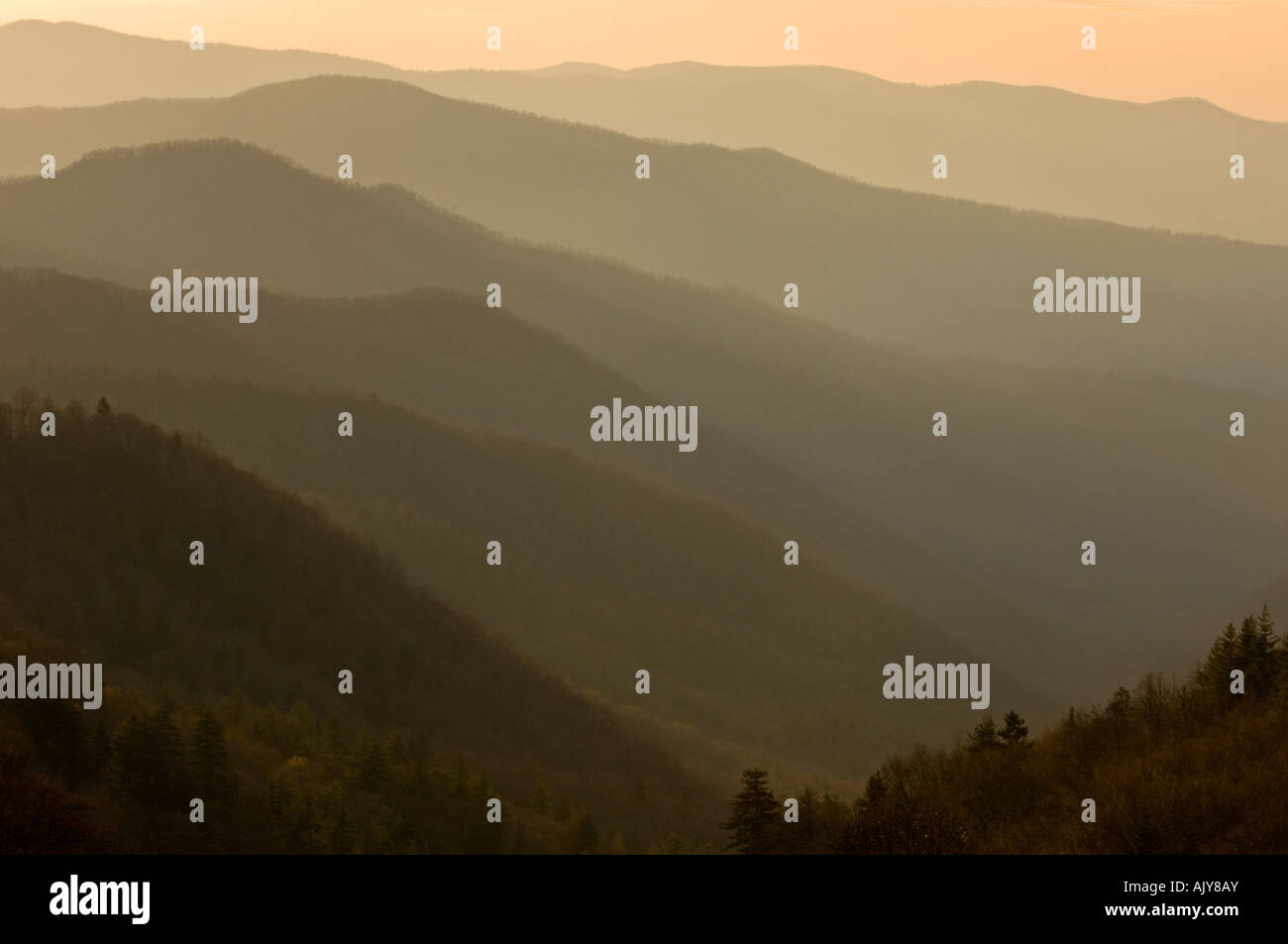 Morning haze and North Carolina mountain ranges, Great Smoky Mountains National Park, Tennessee