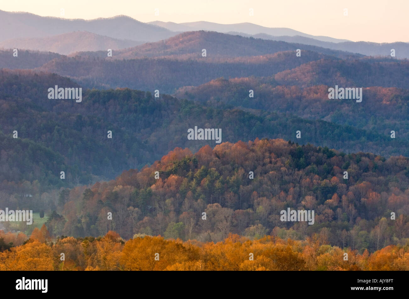 Smoky Mountain ranges in morning light, Great Smoky Mountains National