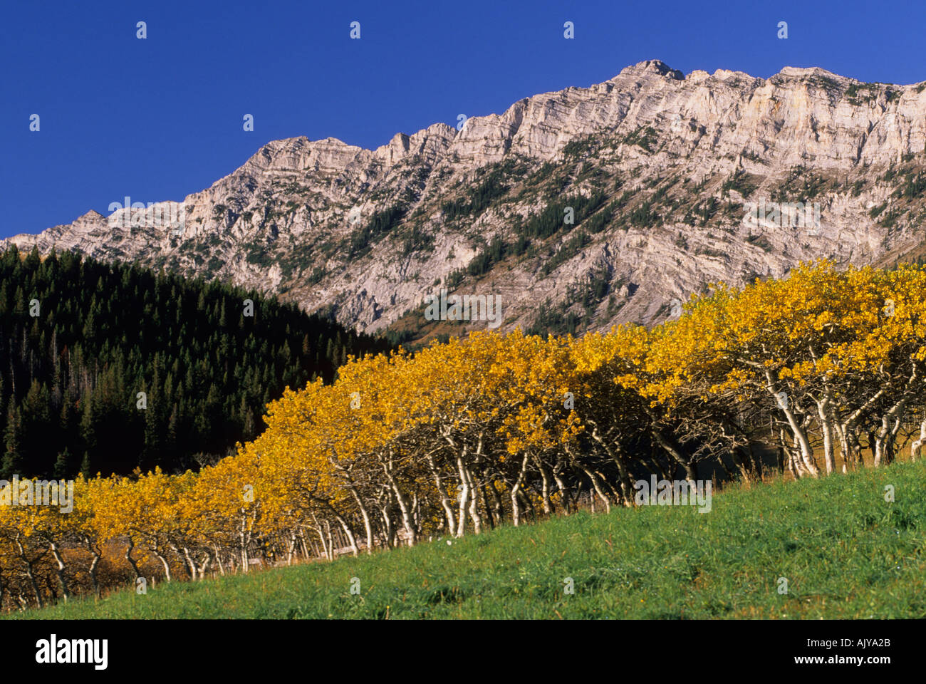 Livingstone range hires stock photography and images Alamy