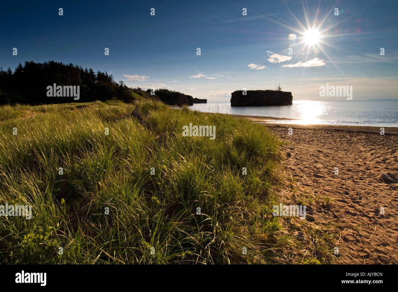 Pokeshaw island hires stock photography and images Alamy