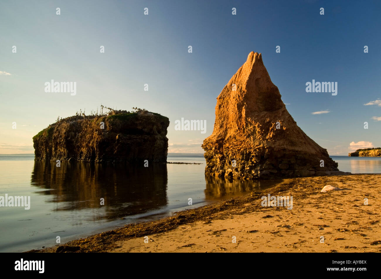 Sea stacks {{Pokeshaw Islands) along shore of Bay of Chaleur , Pokeshaw Municipal Park, Pokeshaw