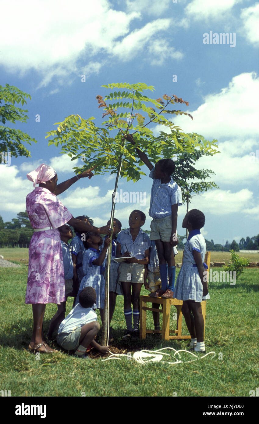 Teacher supervising scientific experiments with her pupils in the grounds of a rural Primary School 20 miles north of Primary S Stock Photo