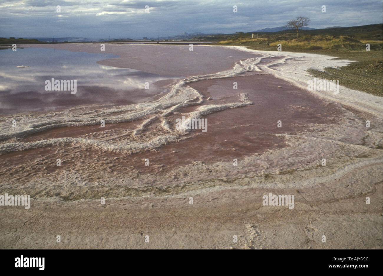 Sodium Carbonate or trona crystals on the shore of Lake Magadi Kenya East Africa Stock Photo