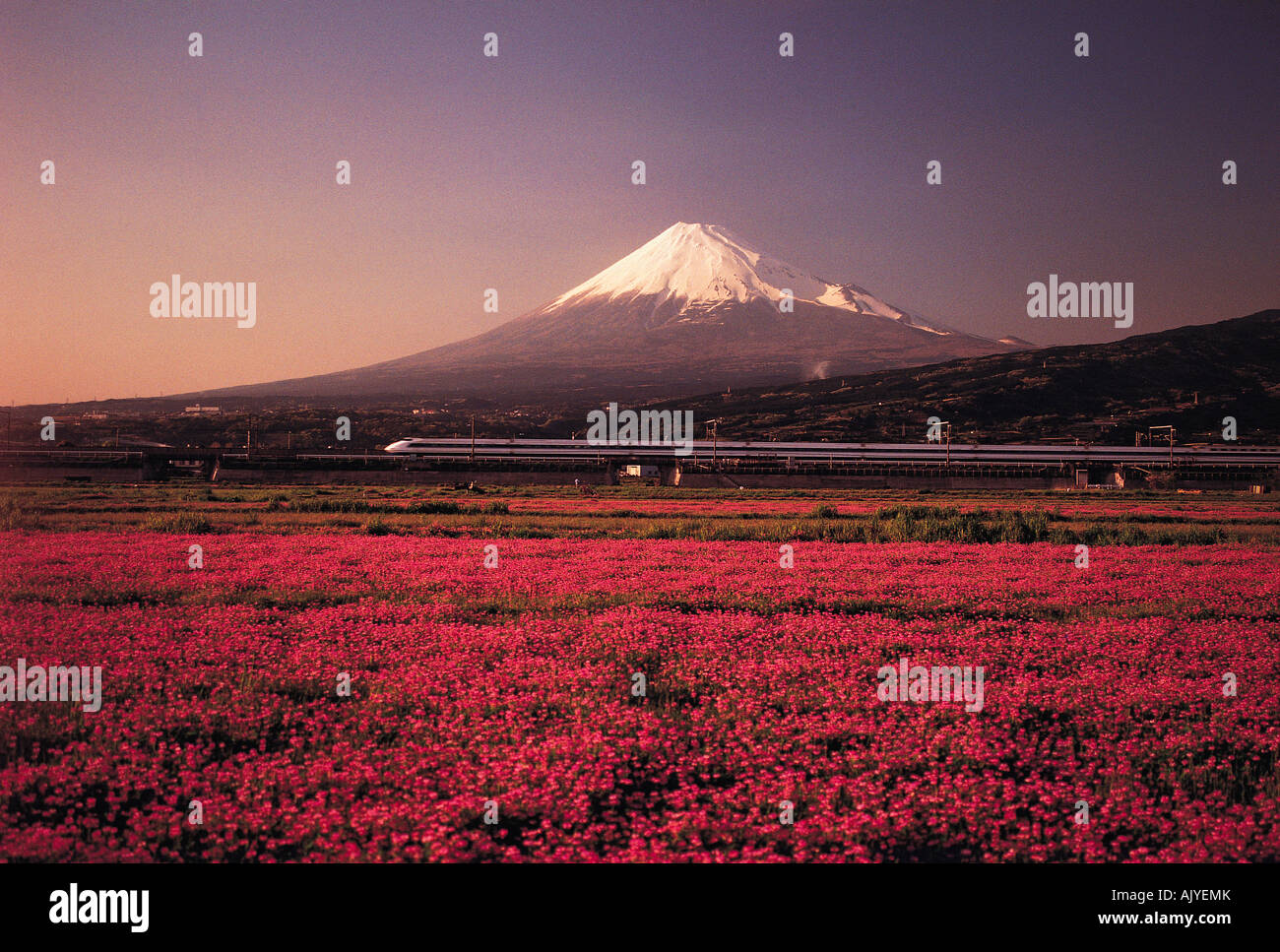 Japan, Mount Fuji, View with speeding Bullet Train, Stock Photo