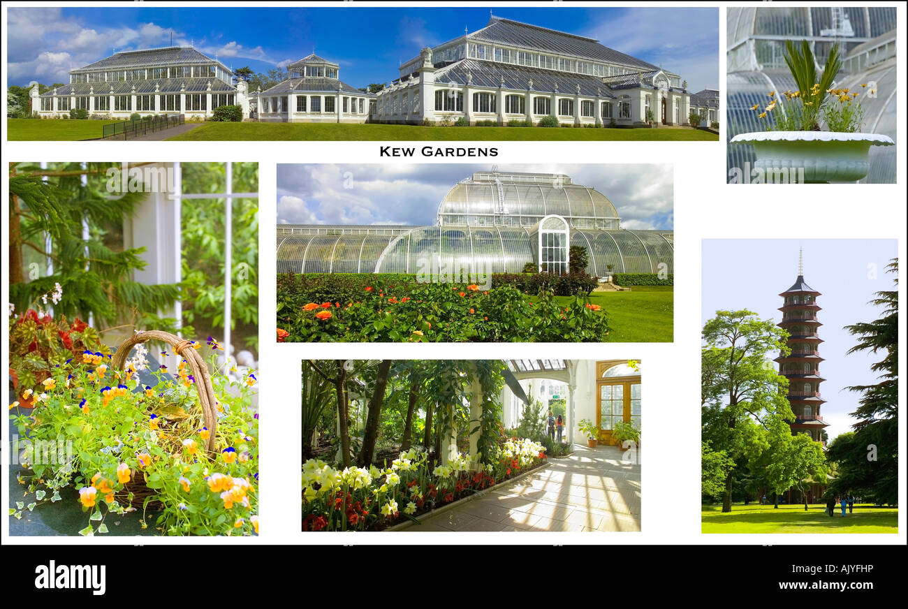 a picture postcard of the Royal Botanical Gardens at Kew Kew Gardens London England Stock Photo