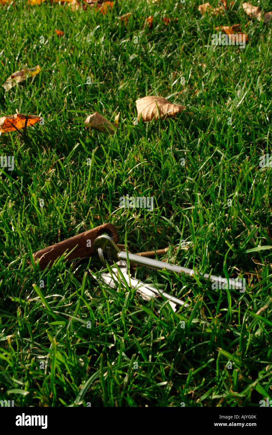 Lost house keys Stock Photo Alamy