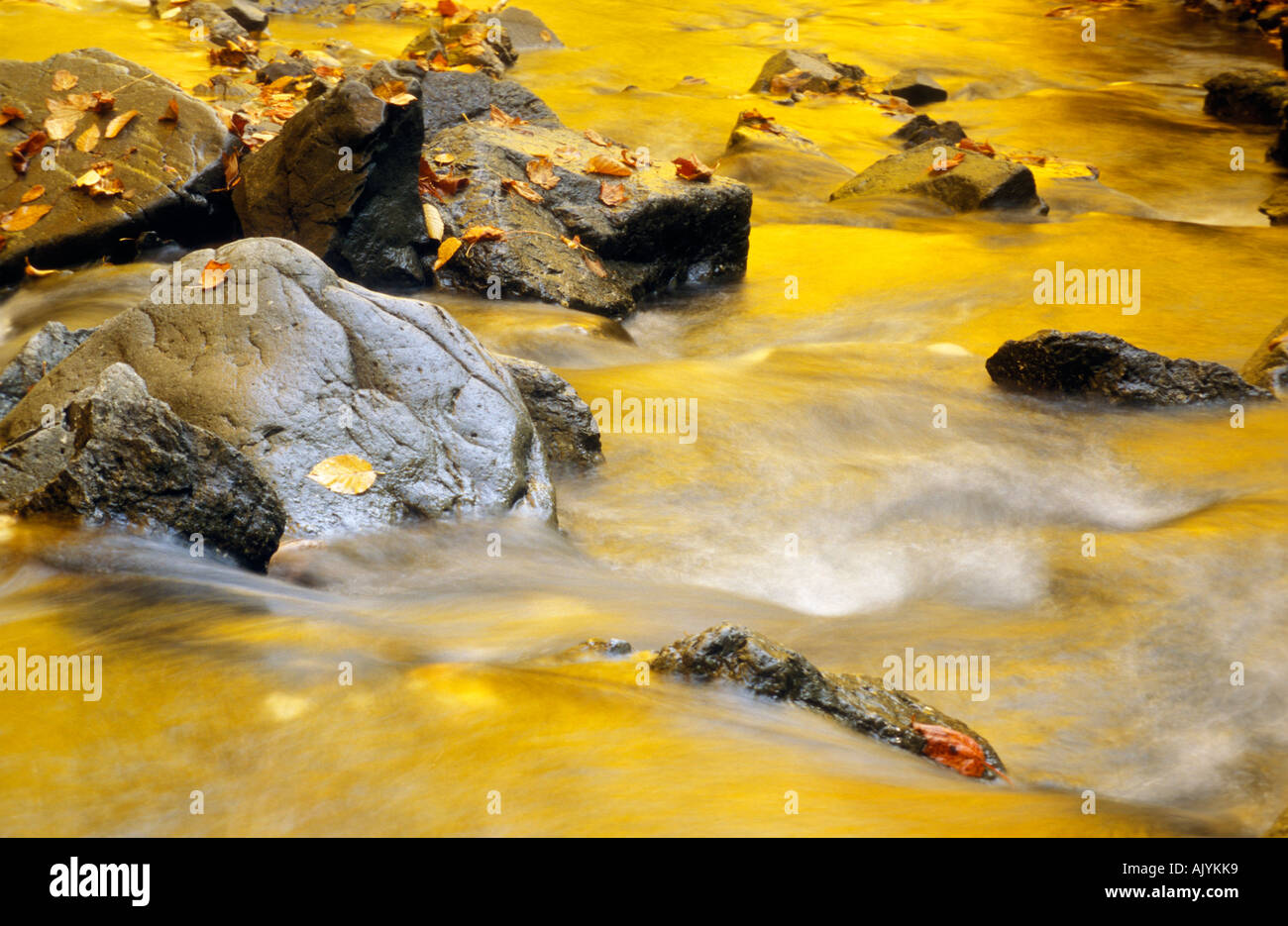 Bright autumnal colours reflected in a stream Stock Photo