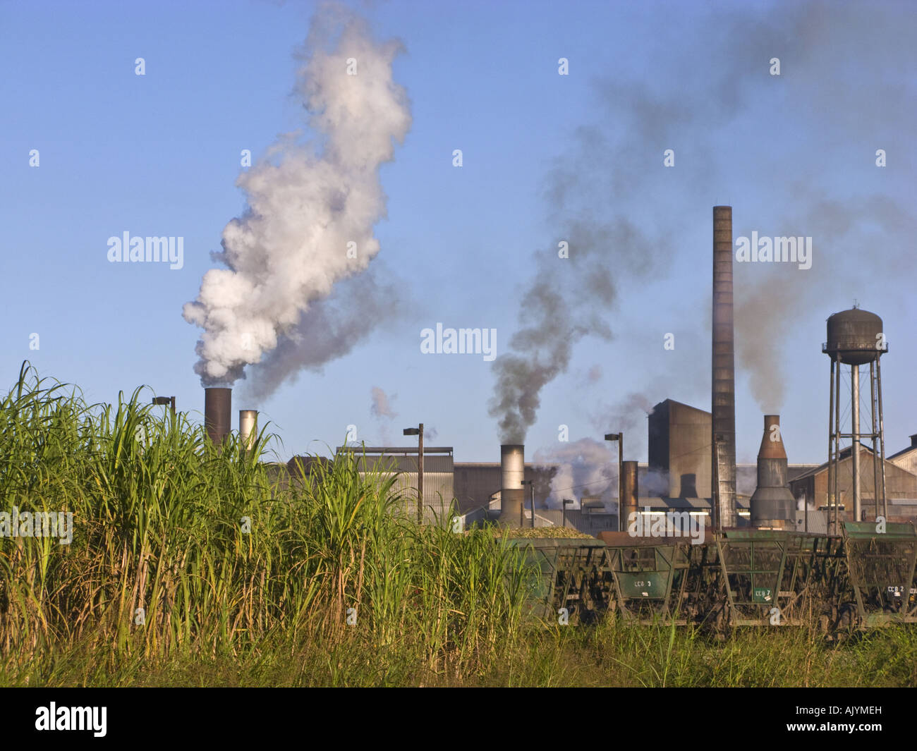 St Mary Sugar Coop sugarcane mill in operation during October 2007