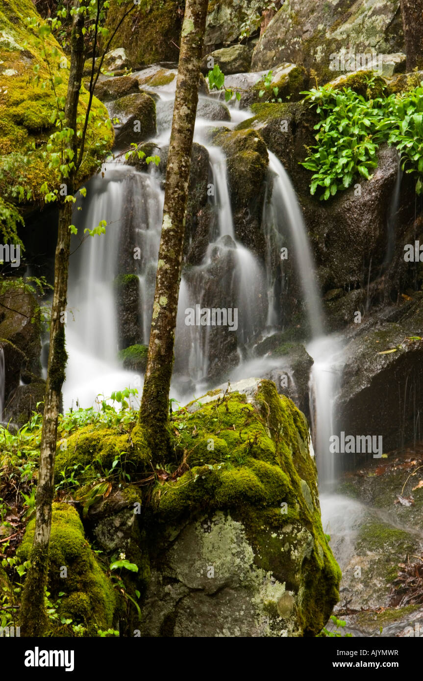 Rushing river water cascades hi-res stock photography and images - Alamy