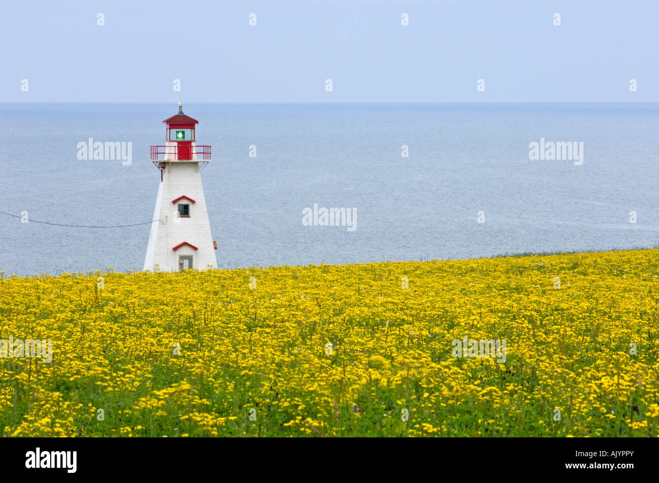 Lighthouse at Cape Tryon, French River, PE/PEI Prince Edward Island, Canada Stock Photo