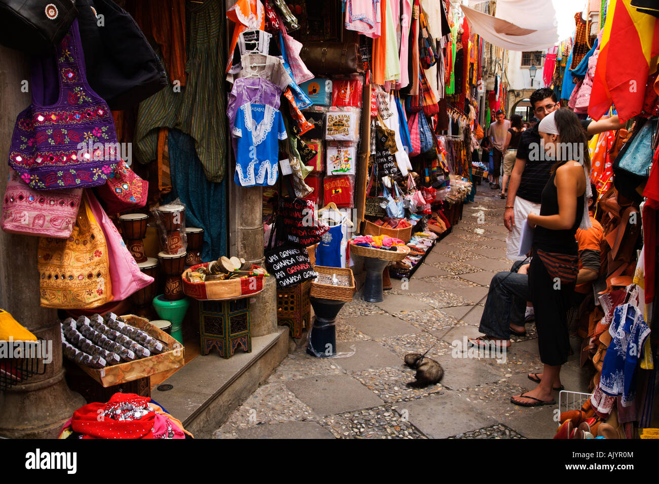 Young woman with a ferret in The Alcaiceria Granada Spain Stock Photo