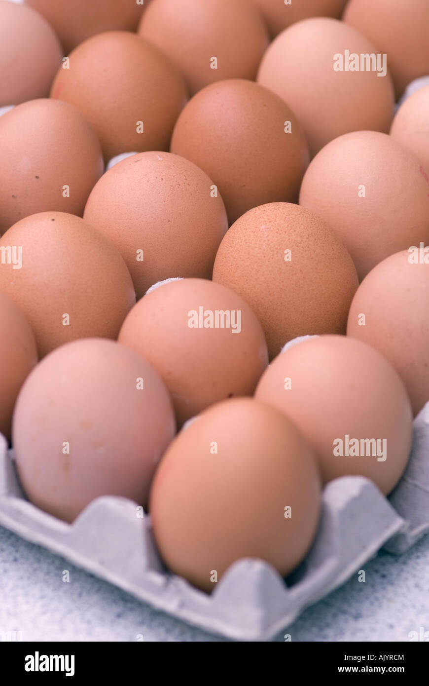 Tray of Chickens eggs Stock Photo