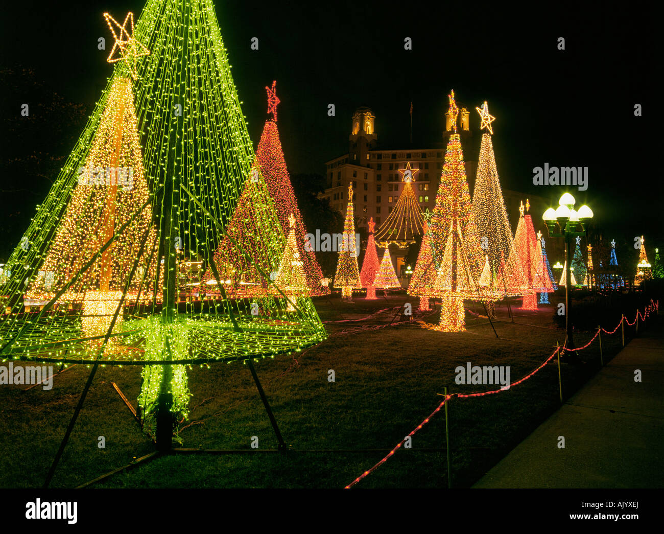 Christmas lights go up on Christmas trees in Hot Springs National Park