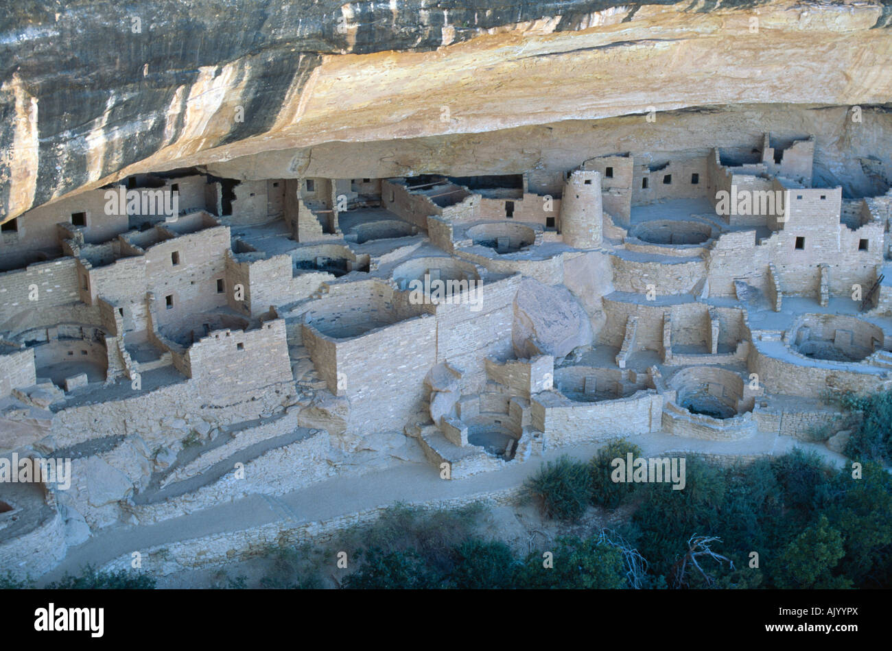 Cliff Palace Anasazi ruins Mesa Verde National Park Colorado USA Stock ...