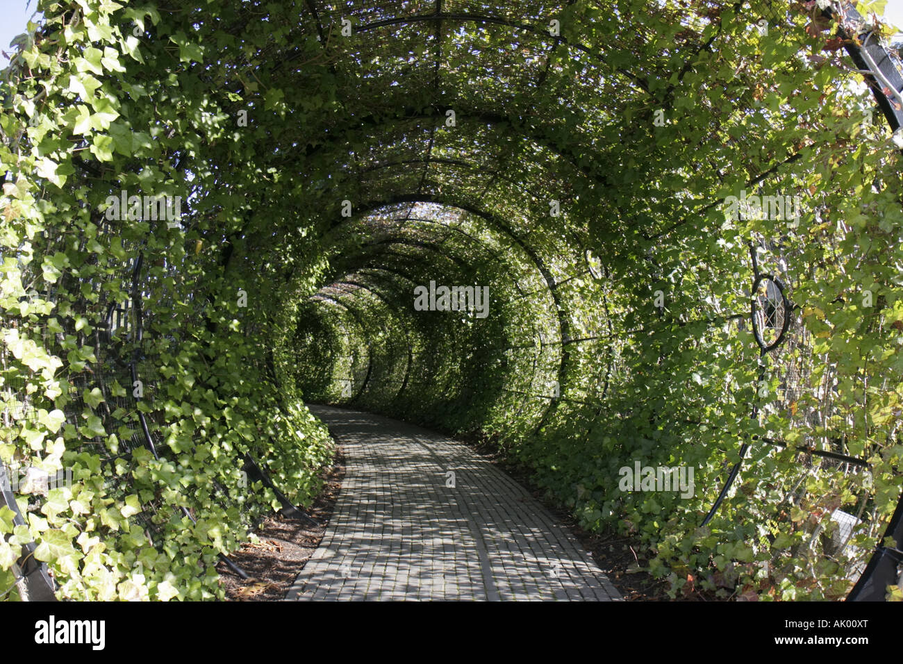 Alnwick England Uk The Alnwick Garden The Poison Garden Tunnel