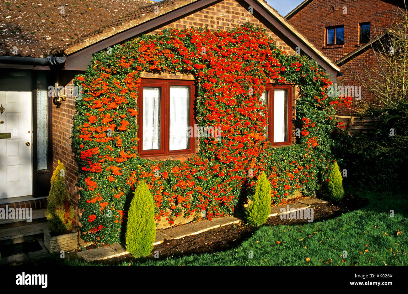 Riot Of Colour High Resolution Stock Photography and Images - Alamy
