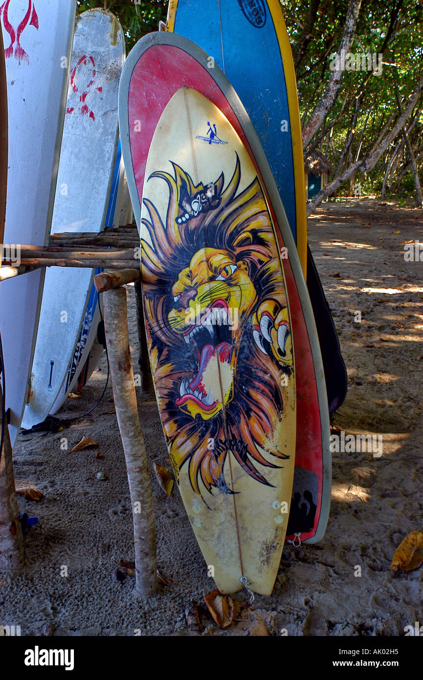 Lion surf board Stock Photo Alamy