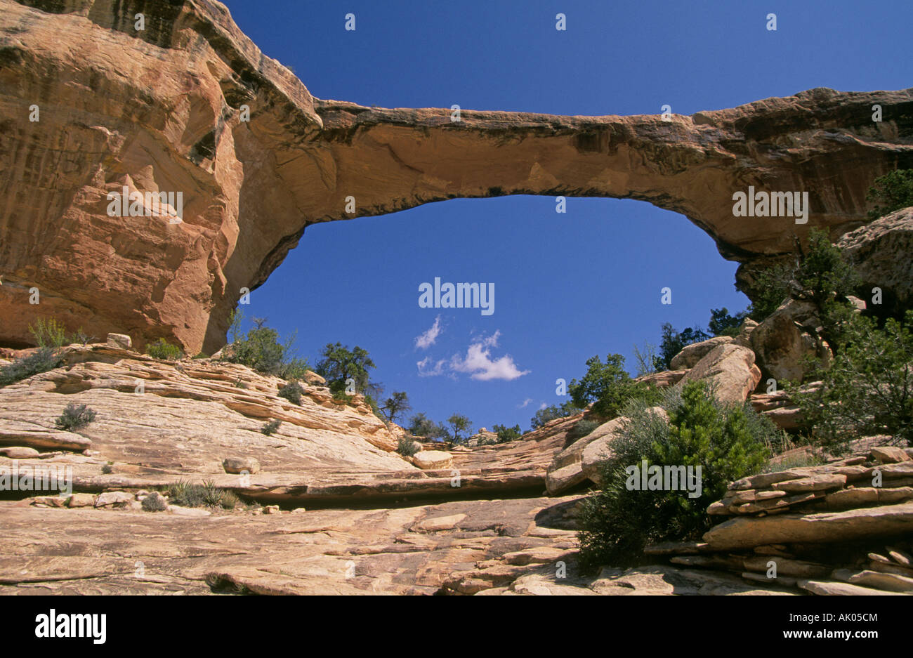 A magnificent stone arch in Natural Bridges National Monument in the