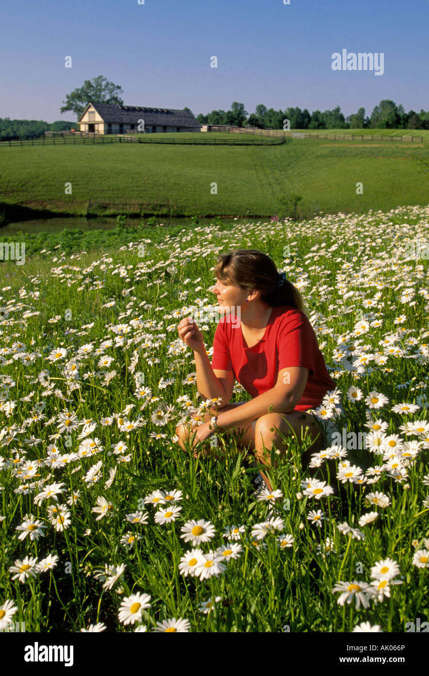 A pretty young girl kneels in a field of wildflowers daisies in the farm country near Charlottesville Virginia Stock Photo