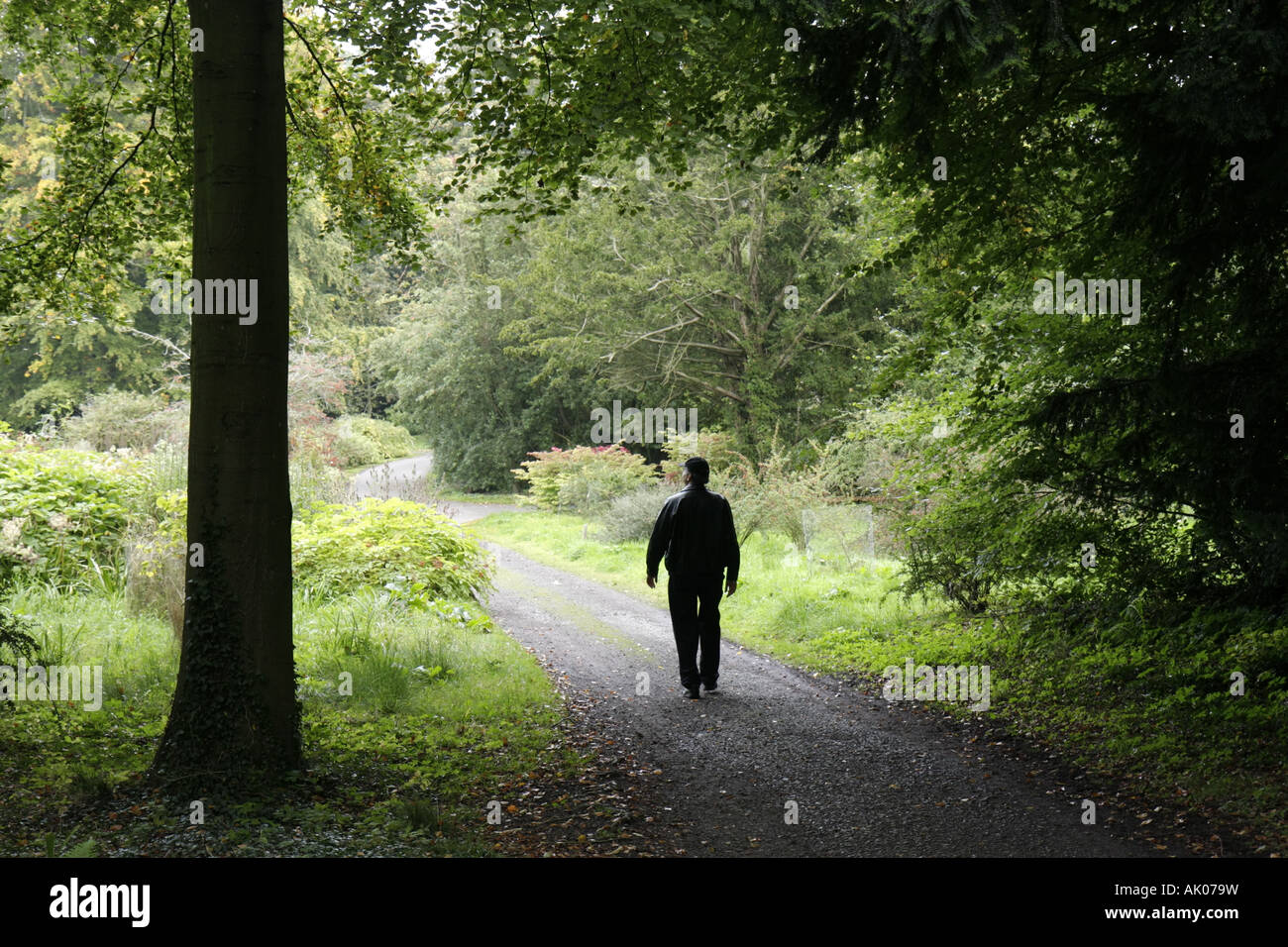 UK England Northumberland,Longhoughton,Howick Hall Gardens 1782,UK071003086 Stock Photo