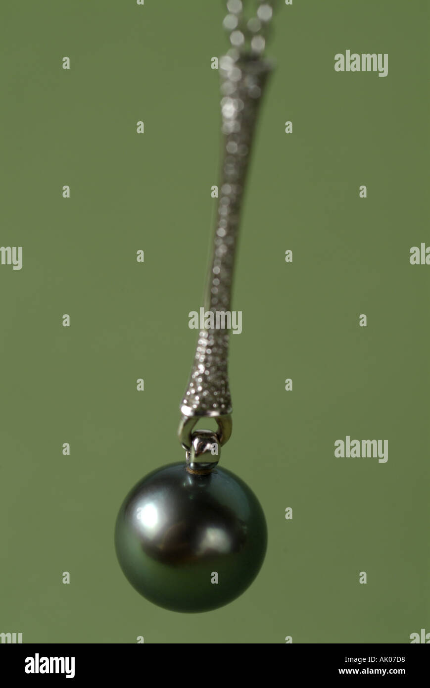 One polynesian black pearl necklace above an oyster Stock Photo