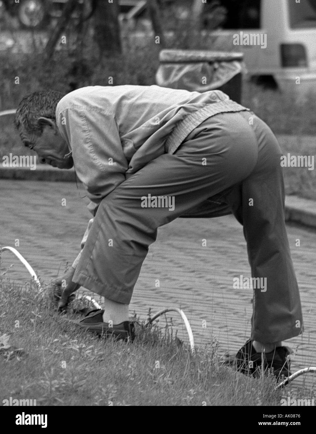 Elderly old senile man pick up chicories & herb in public park Higashi Gyoen near Imperial Palace Tokyo Japan Eastern Asia Stock Photo