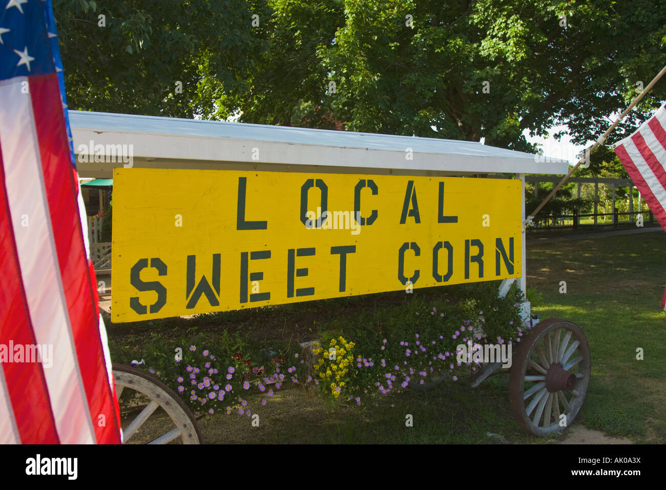 Farm stand selling local corn Stock Photo Alamy