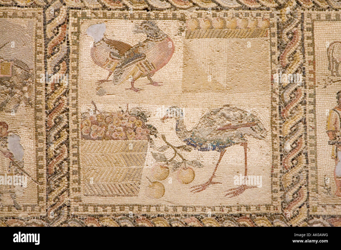 Tripoli, Libya. Four Seasons Roman Mosaic from Leptis Magna, Jamahiriyya Museum Stock Photo