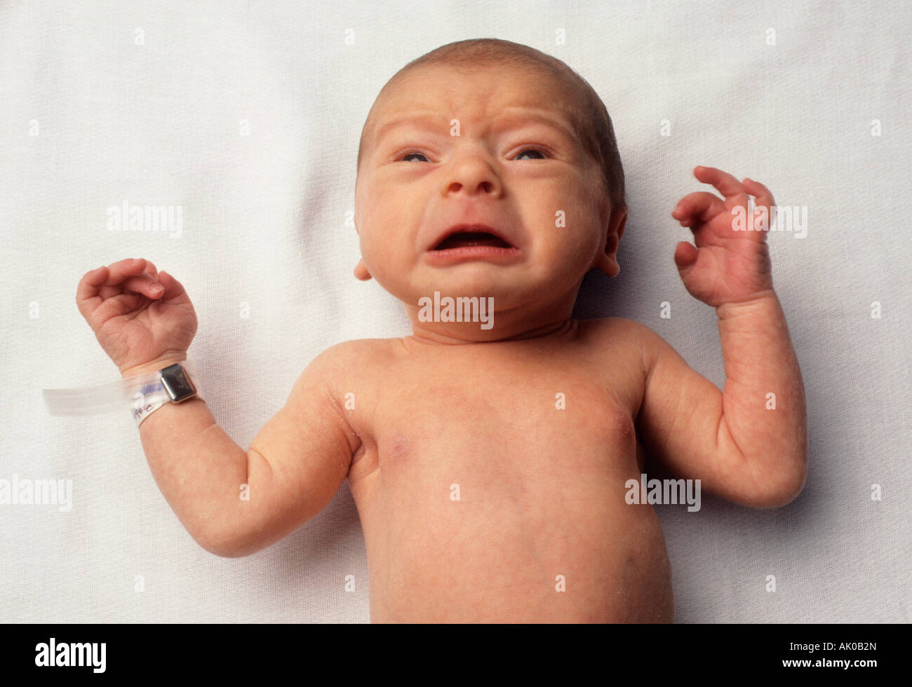 Newborn caucasian infant baby 10 day old with identification braclet Stock Photo
