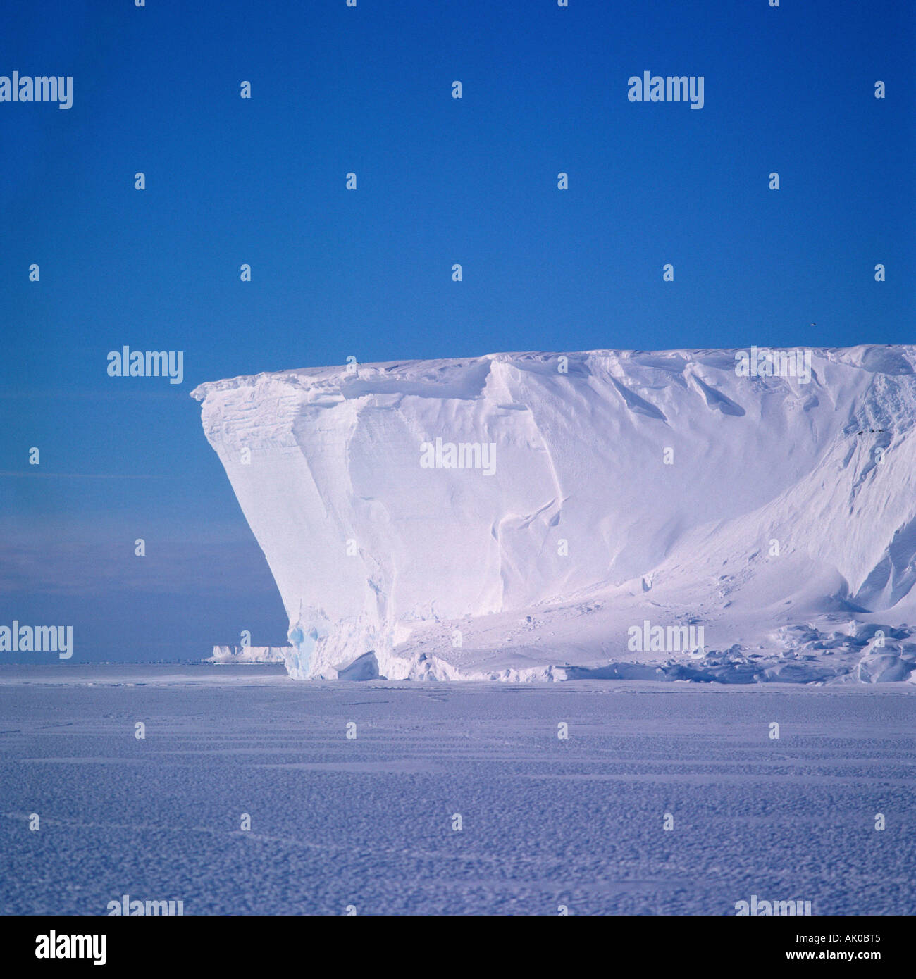 Ice shelf front Stock Photo Alamy