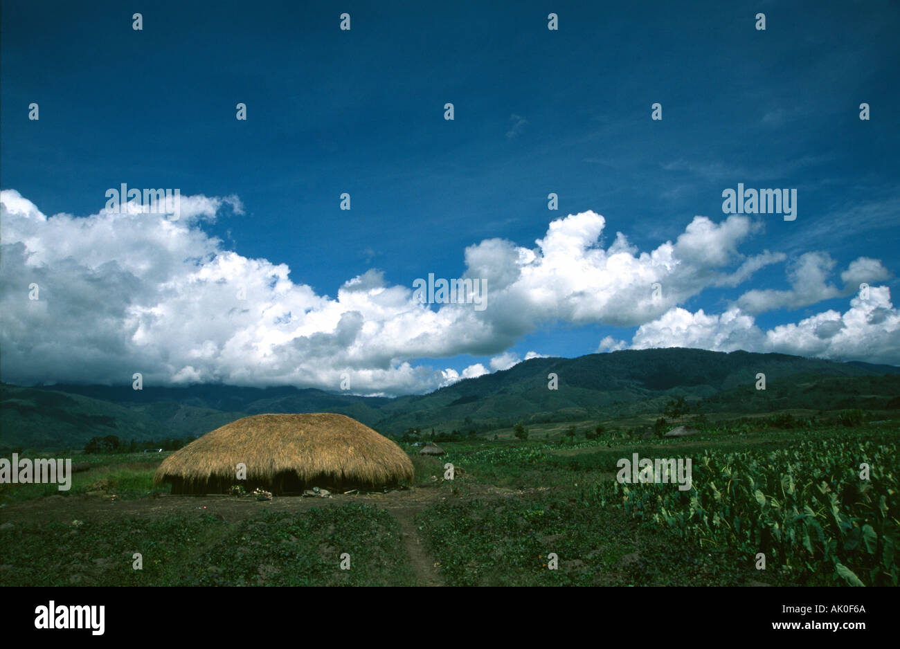 Hut in Papua Irian Jaya Indonesia Stock Photo